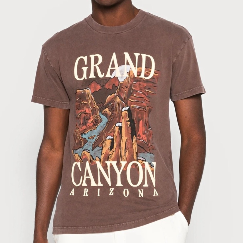 Abercrombie Grand Canyon Park Graphic Tee in brown